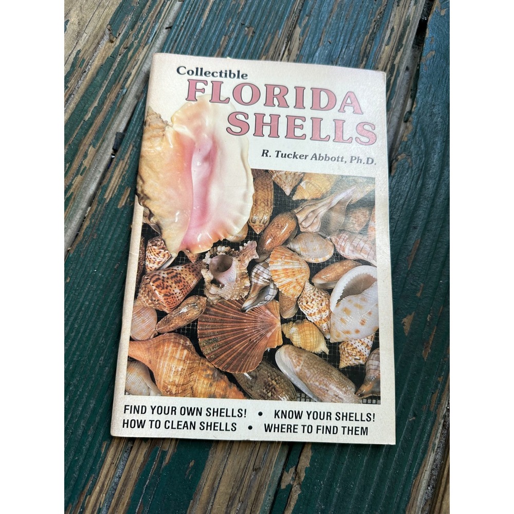 Collectible Florida Shells Book R. Tucker Abbott 1989 Vintage Paperback Guide